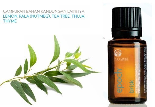 Manfaatnya-Dari-5-Jenis-Minyak-Esensial-Ini